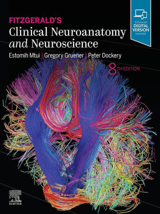 Cover image: Fitzgerald's Clinical Neuroanatomy and Neuroscience 8th edition 9780702079092