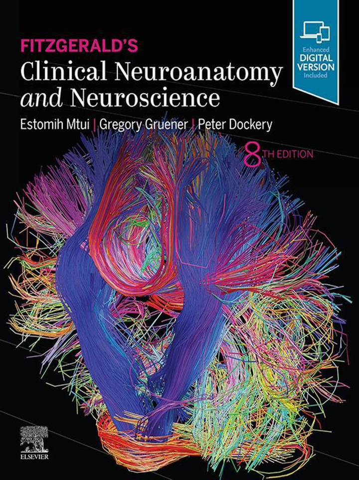 Cover image: Fitzgerald's Clinical Neuroanatomy and Neuroscience