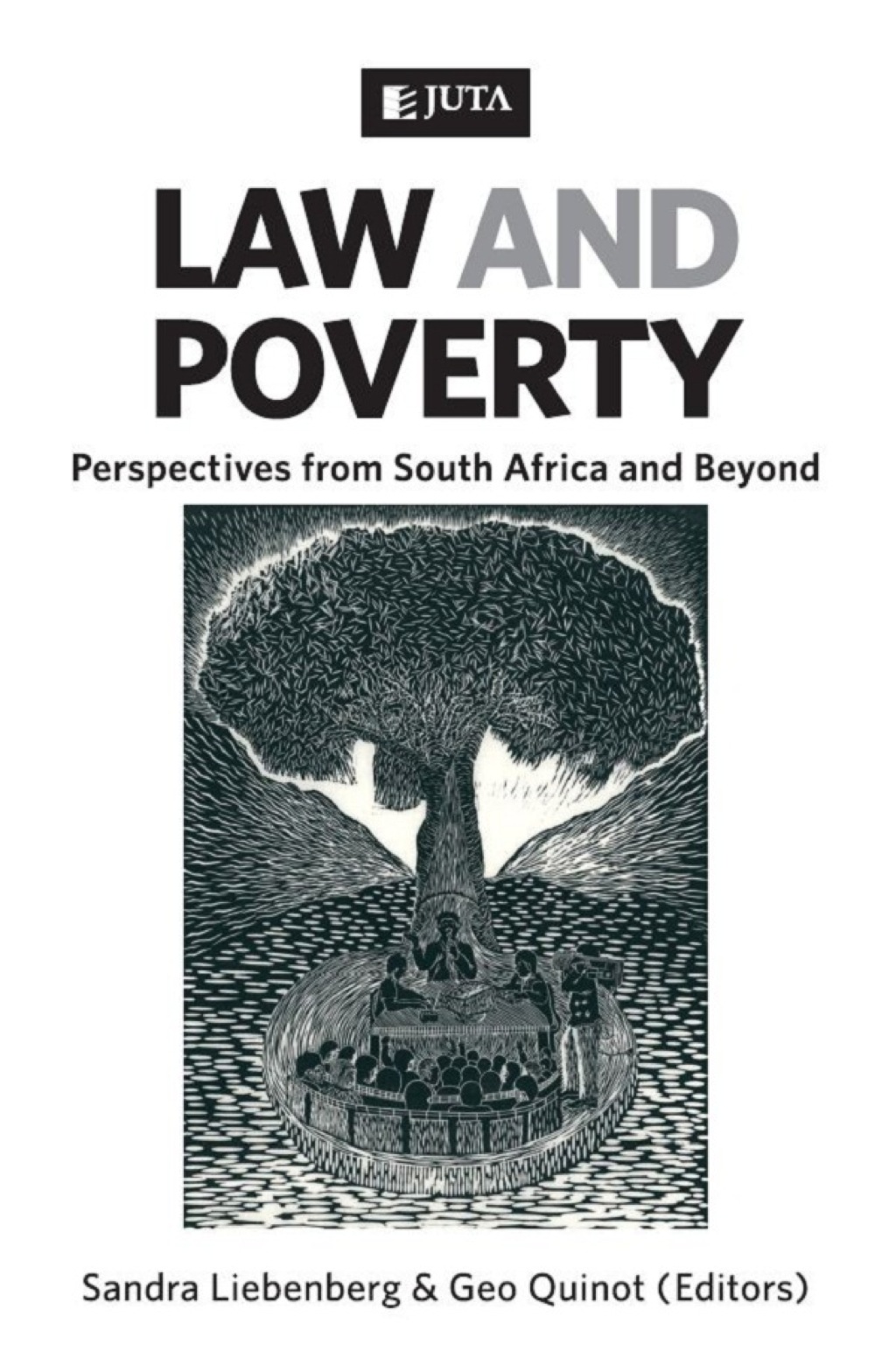 Law and Poverty: Perspectives from South Africa and Beyond 1st Edition