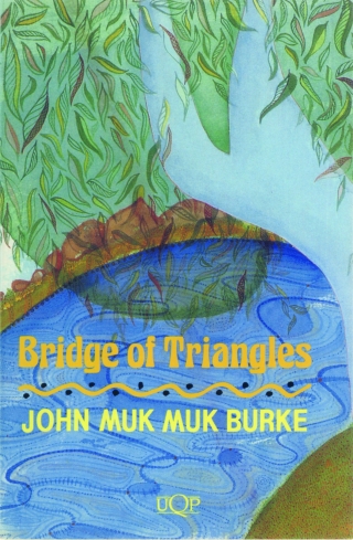Cover image: Bridge of Triangles 9780702250231