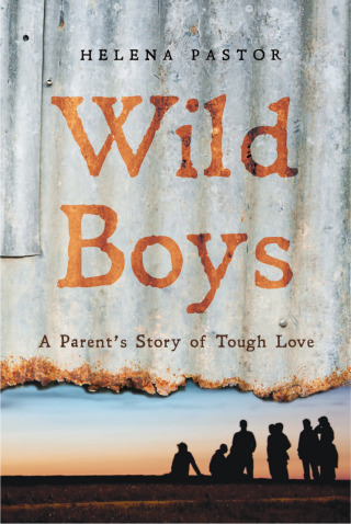 صورة الغلاف: Wild Boys 9780702253652