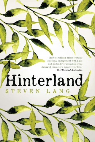 Cover image: Hinterland 1st edition 9780702259654