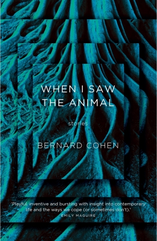 Cover image: When I Saw the Animal 9780702261589