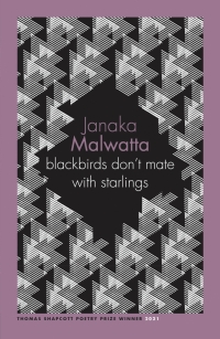 Cover image: blackbirds don’t mate with starlings 9780702267154