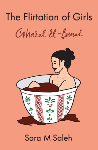 Cover image: The Flirtation of Girls / Ghazal el-Banat 9780702268151