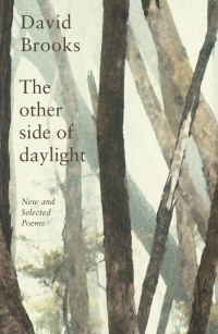 Cover image: The Other Side of Daylight 9780702269387