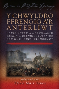 Cover image: Y Chwyldro Ffrengig a'r Anterliwt 1st edition 9780708326497