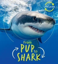 Cover image: Lifecycles - Pup To Shark 9780711243620
