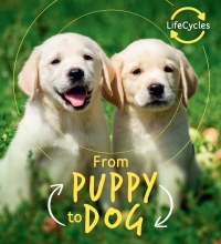 Imagen de portada: Lifecycles - Pup To Dog 9780711243651