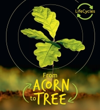 Cover image: Lifecycles - Acorn to Tree 9780711243682