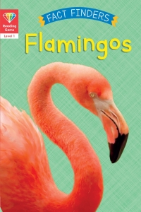 Titelbild: Reading Gems Fact Finders: Flamingos (Level 1) 9780711243811