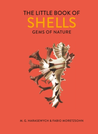 Cover image: The Little Book of Shells 9780711252691