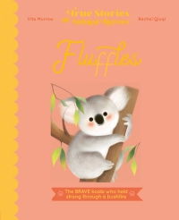 Cover image: Fluffles 9780711261594