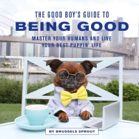 Omslagafbeelding: The Good Boy's Guide to Being Good 9780711265943