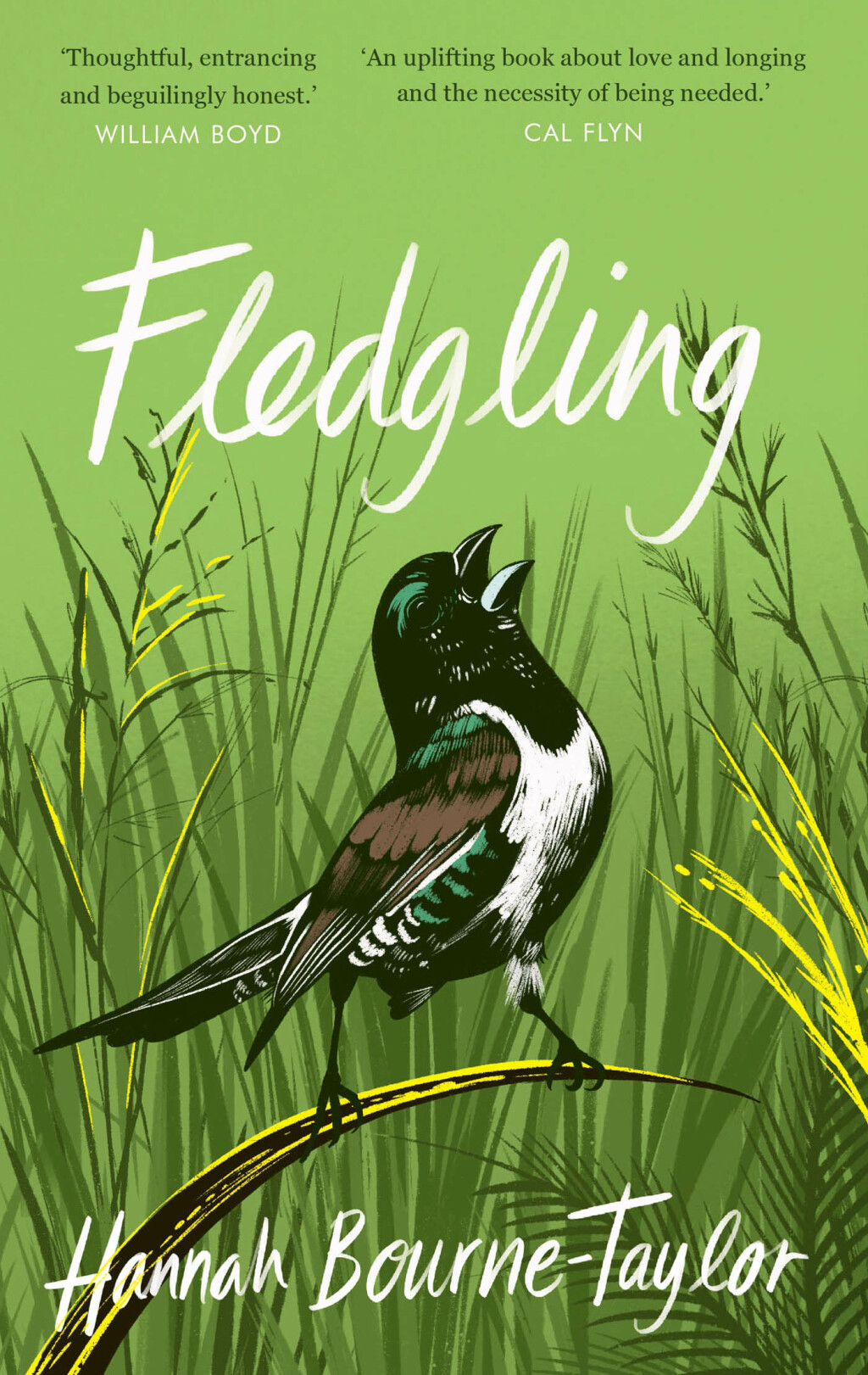 Fledgling (eBook)