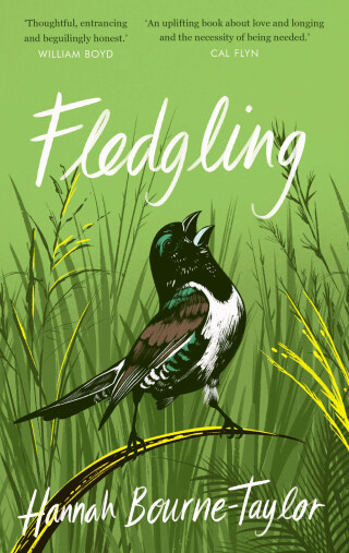 Cover image: Fledgling 9780711266674