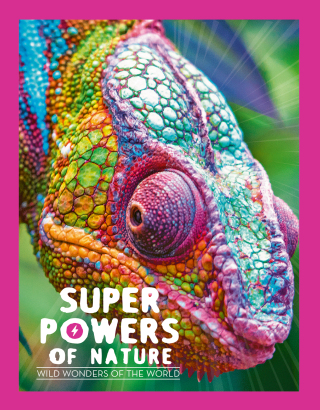 صورة الغلاف: Superpowers of Nature 9780711278097