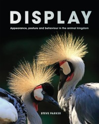 Cover image: Display 9780711278523