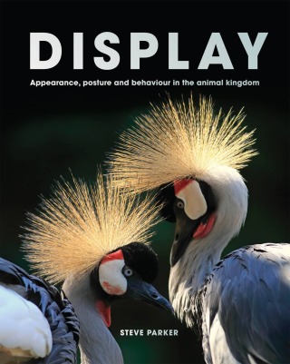 Imagen de portada: Display 9780711278523