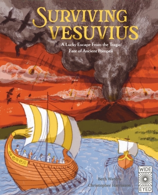 Cover image: Surviving Vesuvius 9780711279230