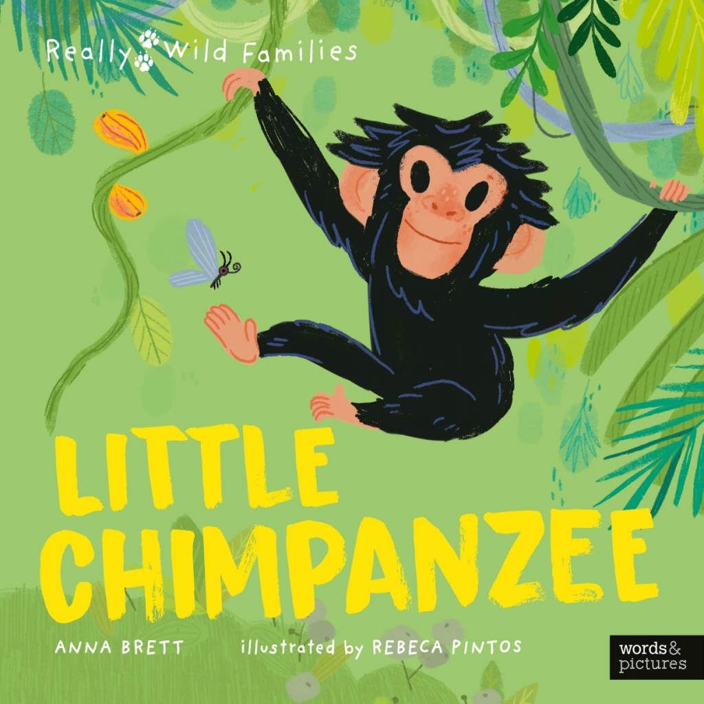 Little Chimpanzee A Day in the Life of a Baby Chimp