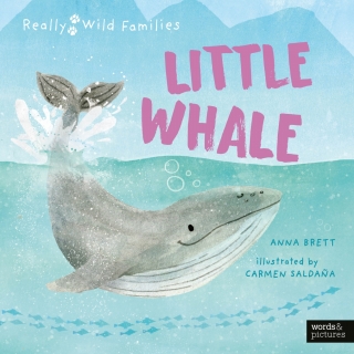 صورة الغلاف: Little Whale 9780711283558