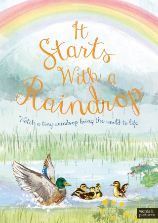 Imagen de portada: It Starts With A Raindrop 9780711285934