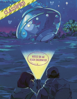 Cover image: The UFO Files 9780711288454