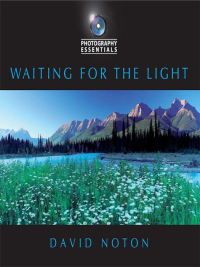 Titelbild: Waiting for the Light 1st edition 9780715335284