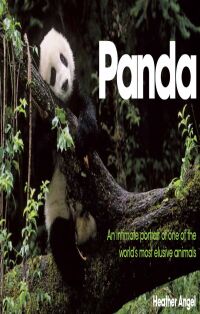 Immagine di copertina: Panda 9780715328521