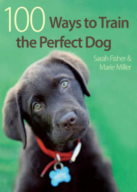 Omslagafbeelding: 100 Ways to Train the Perfect Dog 9780715329412
