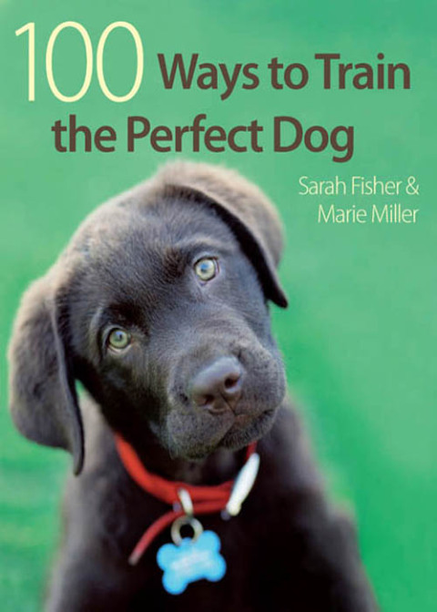 100 Ways to Train the Perfect Dog - FULL INSTANT DOWNLOAD | PDF DOCX EPUB