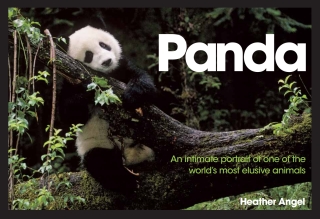 Imagen de portada: Panda 9780715328521