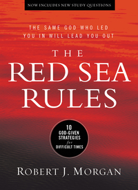 Cover image: The Red Sea Rules 9780529104403