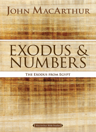 Cover image: Exodus and Numbers 9780718034702