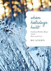 Cover image: When Holidays Hurt 9780718016203