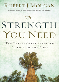 Cover image: The Strength You Need 9780718079598