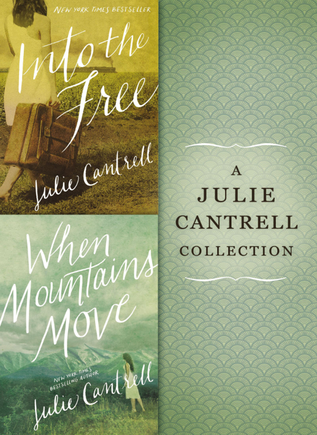 A Julie Cantrell Collection Into the Free and When Mountains Move