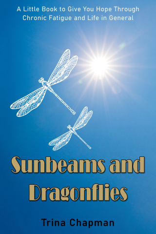 صورة الغلاف: Sunbeams and Dragonflies 1st edition 9780722351161