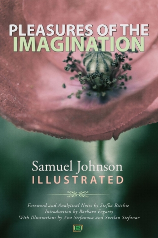 Cover image: Pleasures of the Imagination 2nd edition 9780993371455