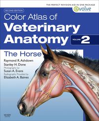 Cover image: Color Atlas of Veterinary Anatomy, Volume 2, The Horse 2nd edition 9780702052293