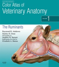 表紙画像: Color Atlas of Veterinary Anatomy, Volume 1, The Ruminants 2nd edition 9780723434139