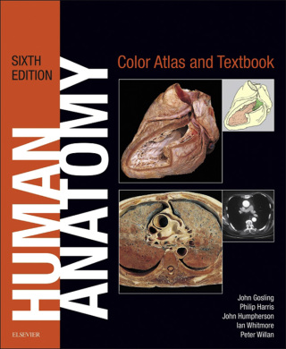 Cover image: Human Anatomy, Color Atlas and Textbook - Electronic 6th edition 9780723438274
