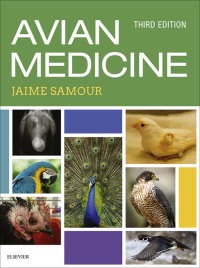صورة الغلاف: Avian Medicine 3rd edition 9780723438328
