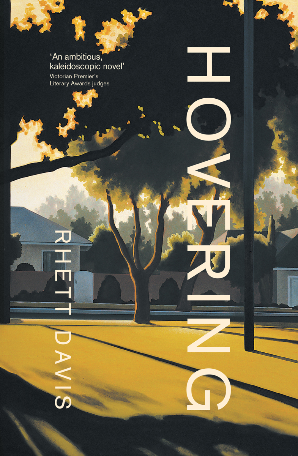 Hovering (eBook)