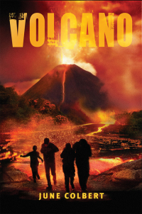 Cover image: Volcano 9780734413697