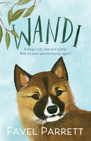 Cover image: Wandi 9780734420633