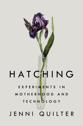 Cover image: Hatching 9780735213203