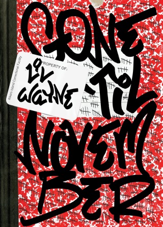 Cover image: Gone 'Til November 9780735212114