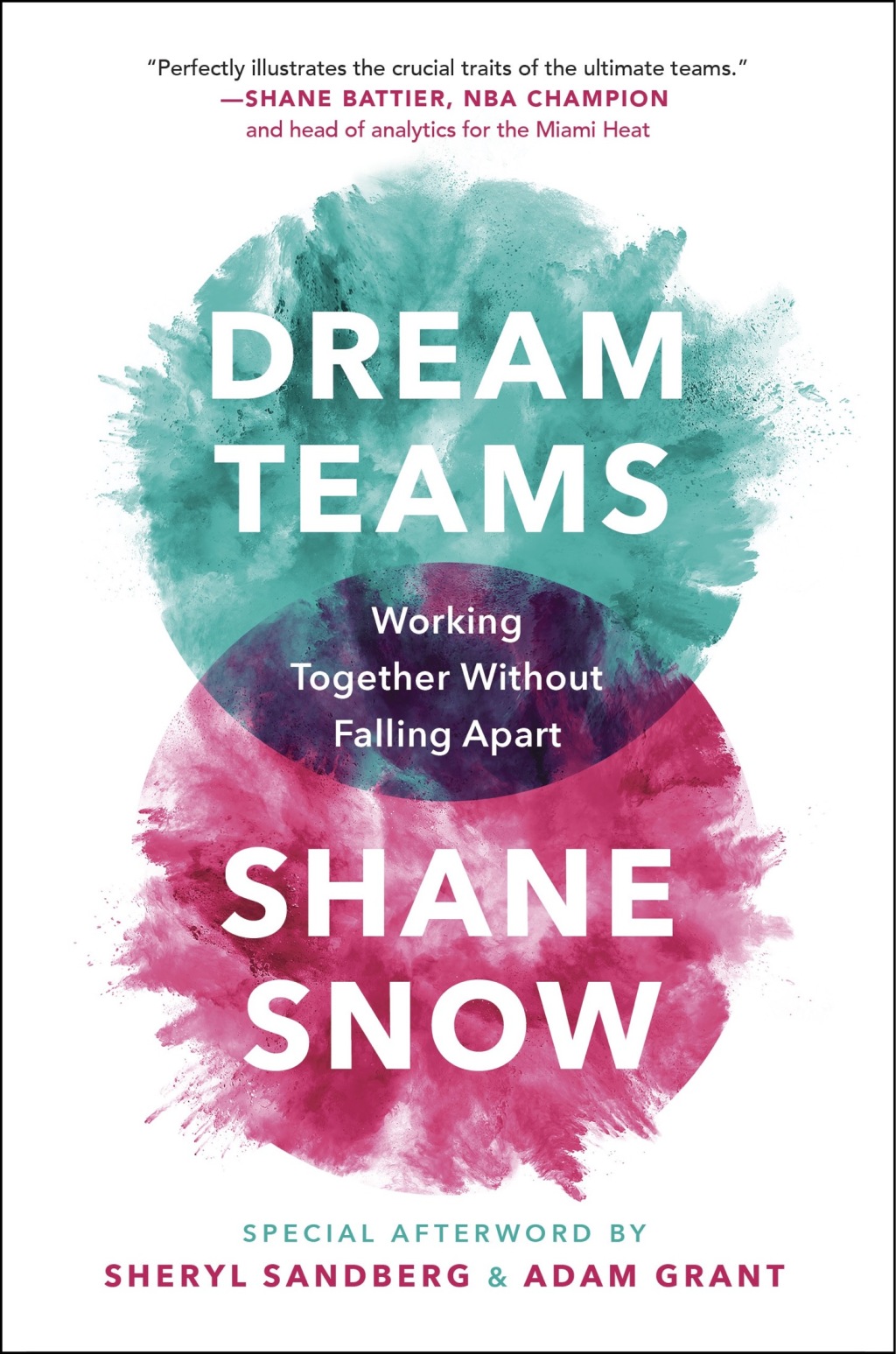 Dream Teams Working Together Without Falling Apart